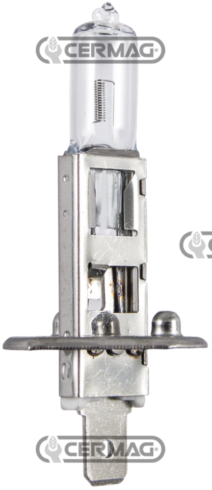 LAMPADA 12V - 55W - MOD.H1 P14,5S