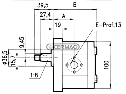 POMPA AD INGRANAGGI GRUPPO 2 - VERSIONE STANDARD - ALBERO CONICO - 11,4 cm3, sinistra - immagine 3