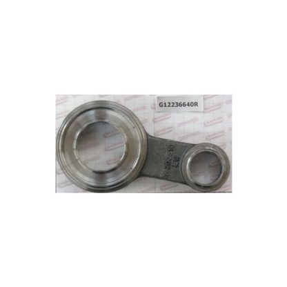 BIELLA REVERSIBILE ORIGINALE MASCHIO GASPARDO
