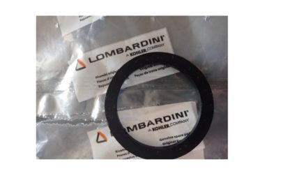 GUARNIZIONE FILTRO NAFTA LOMBARDINI 6LD360-400 X FILTRO 10076