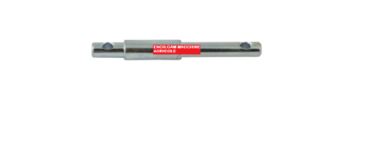 PERNO DOPPIO 200X25