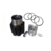 KIT CILINDRO/PISTONE LOMBARDINI LDA 510 - 3LD 510 4 FASCE VECCHIO TIPO  4898.001