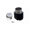 KIT CILINDRO/PISTONE LOMBARDINI 6LD 360  4898.012