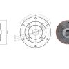 MOTORE INTERCAMBIABILE CON INTERMOTOR LOMBARDINI ACMA  BENZINA ZBM 210 Albero conico C1M Ø 23 - immagine 2