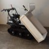 MOTOCARRIOLA CON RIBALTAMENTO MANUALE MT 500 - immagine 2