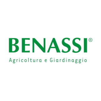 BENASSI
