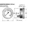 66.310 MANOMETRO Rotopressa 250 BAR KRONE, WOLAGRI, MORRA, CARRARO, FORT, SUPERTINO, OMAS, GUARESI, ABBRIATA, SANTINI, GUIMA, AMA, I.M.R. - immagine 4