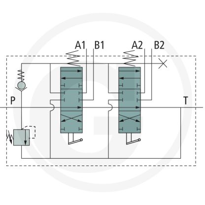 DISTRIBUTORE 2 LEVE DOPPIO EFFETTO 40 LT - immagine 2