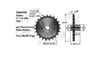 B034P0099R RUOTA DENTATA Z 23 PER TRASMISSIONE RULLO MOTORE DX FERABOLI 65.551-15