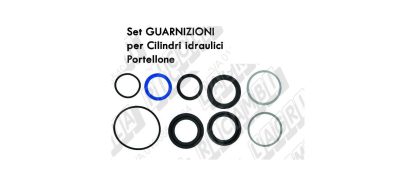 65.831 KIT GUARNIZIONI PER CILINDRI APERTURA PORTELONE WOLAGRI 06 C 029