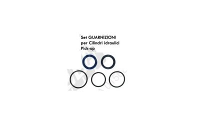 65.832-06 KIT GUARNIZIONI PER CILINDRI IDRAULICI PICK UP ROTOPRESSA FERABOLI SPRINTER EXTREME B0H400061R