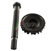 BG883    COPPIA CONICA INFERIORE ad. MOTOAGRICOLA SEP 138 Z=8/25 - immagine 2