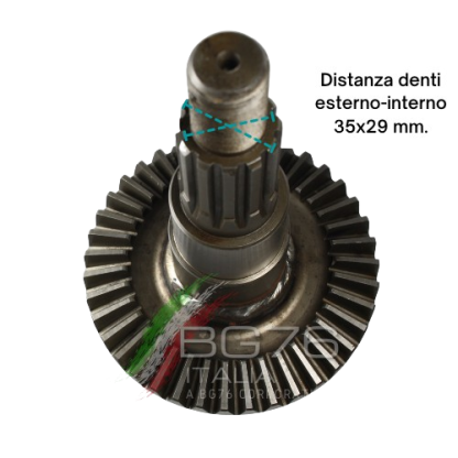 BGGT25.CC  COPPIA CONICA ad. GOLDONI FRESA 25 Z=10/39 - immagine 5