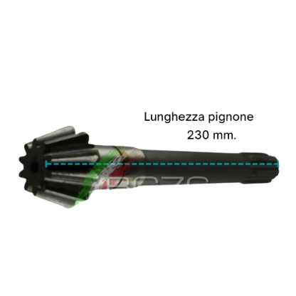 BGGT25.CC  COPPIA CONICA ad. GOLDONI FRESA 25 Z=10/39 - immagine 8
