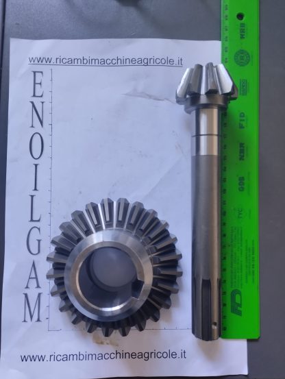 BG4705.14 COPPIA CONICA ad. VALPADANA VMC14 Z=9/24 - immagine 2