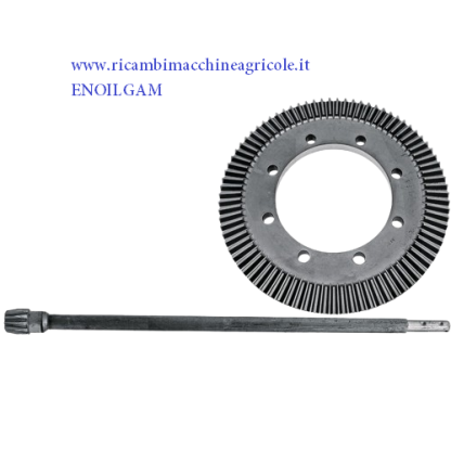 647647300 albero di trasmissione 12 denti e corona 83 denti giroandanatore DEUTZ FAHR