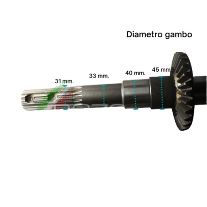 BG2130  COPPIA CONICA INFERIORE ad. GOLDONI FRESA 22M Z=10/29 RIF. ORIG. 0015146+0015836 - immagine 6