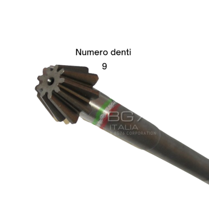 BG4706.1  COPPIA CONICA ad. PASQUALI 598 Z=9/30 - immagine 2