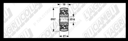 58.125      RULLO PISTONE   ø16 x Ø57 x 19/21