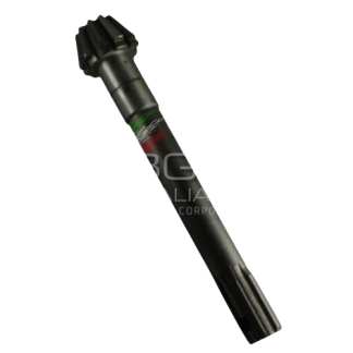 BGGT25.CC.1  PIGNONE ad. MOTOCOLTIVATORE GOLDONI FRESA 25 Z=10